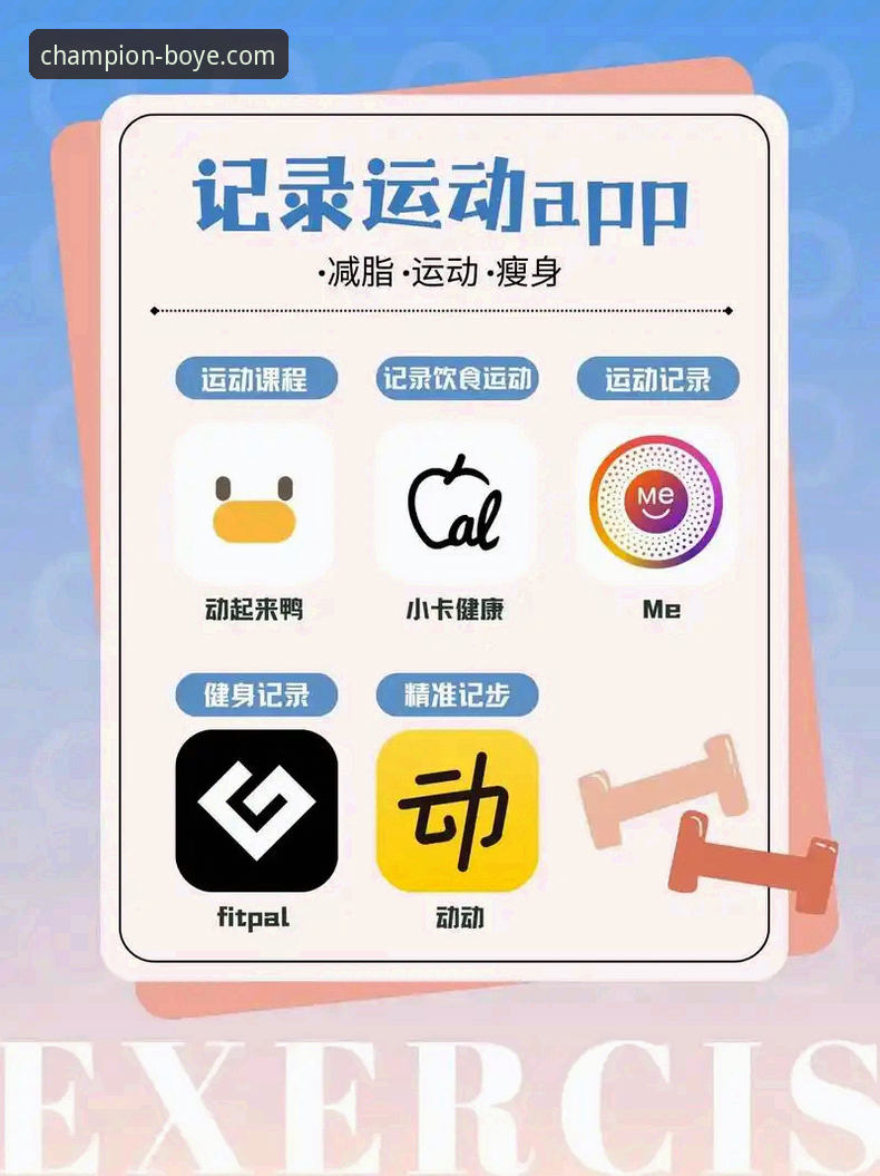 博业体育App最新版：从下载到精通的全方位使用指南
